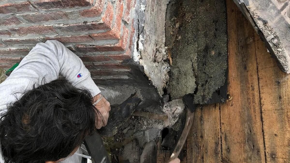 Portfolio c113f267 d99d 4202 85d0 932795045246