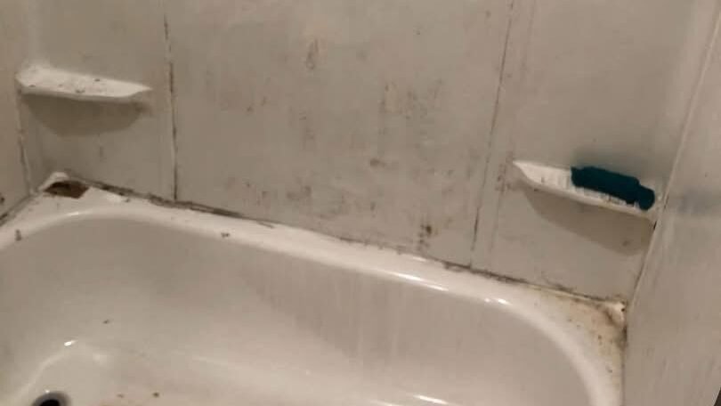 Portfolio d30edaf0 9e88 4a72 b291 e70ddd56caf1